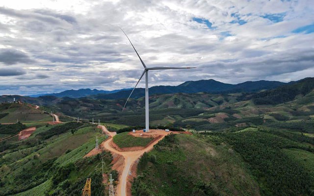 Đề nghị thanh tra toàn diện dự án điện gió lấn chiếm hơn 15 ha đất rừng- Ảnh 1.
