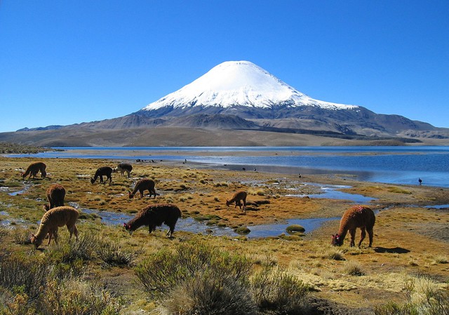 Tới Chile thăm thung lũng Mặt Trăng, khám phá đảo Phục Sinh, núi lửa Villarrica- Ảnh 3.