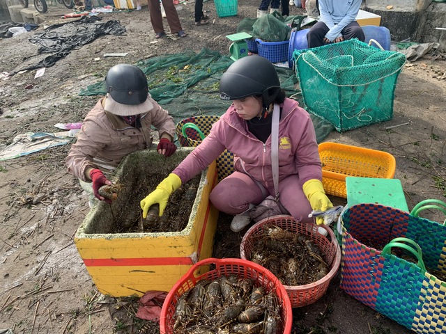 Phú Yên: Tôm cá lại chết hàng loạt, ngư dân kiệt quệ- Ảnh 1.
