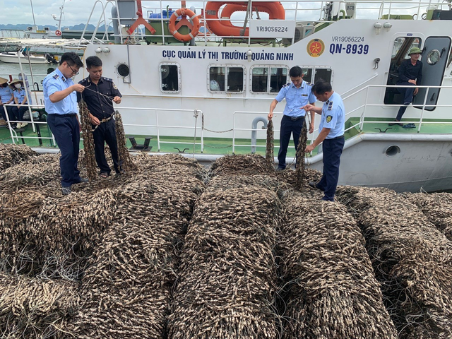 Quảng Ninh: Bắt giữ tàu vận chuyển 63 tấn hàu giống không nguồn gốc
- Ảnh 1.