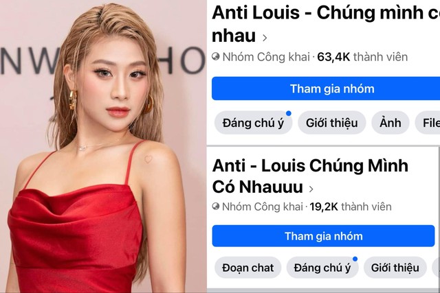 Xuất hiện nhóm anti hot girl Louis Phạm hơn 60.000 thành viên- Ảnh 2.
