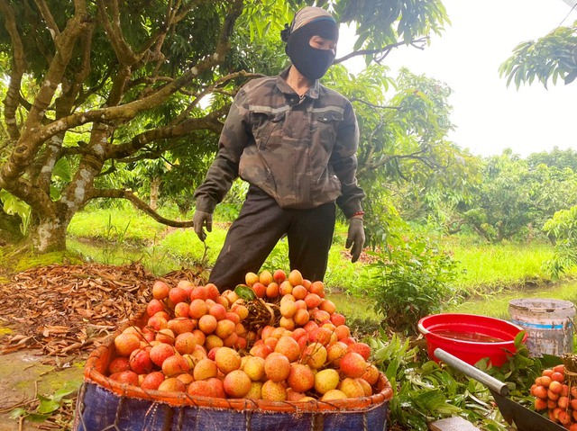 Tăng trưởng kinh tế 6 tháng đầu năm của Hải Dương đứng thứ 7 cả nước- Ảnh 1.