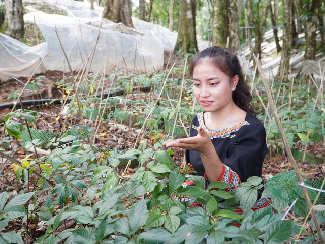 Phát triển 'hành lang công nghiệp' miền Trung và Tây nguyên- Ảnh 4.