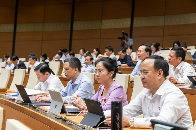 Bộ trưởng Đặng Quốc Khánh: 'Cát biển tốt nhất nên dùng ở vùng đã nhiễm mặn'- Ảnh 2.