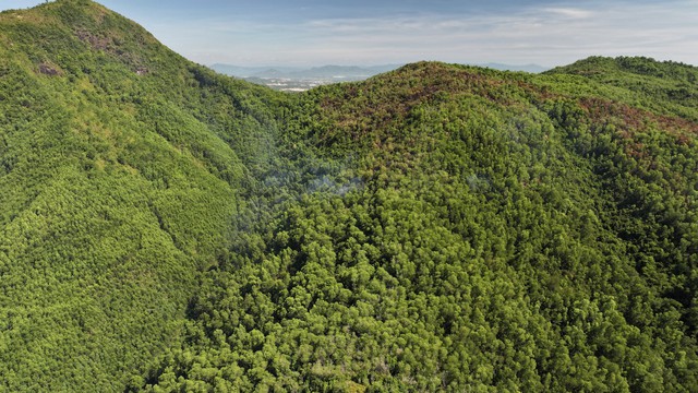 Cháy rừng trên đỉnh núi ở Bình Định đã được dập tắt- Ảnh 1.