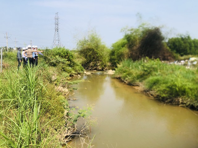 Bỏ hoang ruộng 8 năm do thi công cao tốc- Ảnh 2.