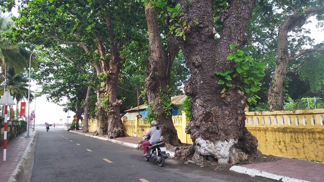 Khởi tố giáo viên vô ý để cháu bé ngã vào xô nước tử vong- Ảnh 1.