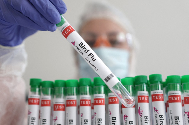 Ca tử vong đầu tiên trên thế giới vì cúm gà H5N2, chưa rõ nguồn lây- Ảnh 1.