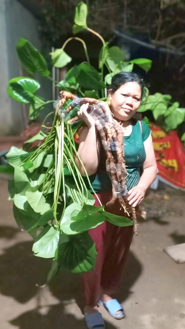 Những đại thụ văn h&oacute;a nơi đại ng&agrave;n: Ngất ng&acirc;y 'rượu piềng &ocirc;ng M&atilde;o'- Ảnh 2.