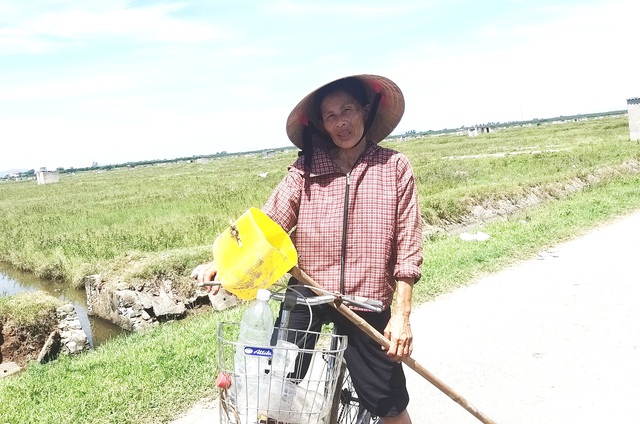 Những cánh đồng muối vắng diêm dân- Ảnh 3.