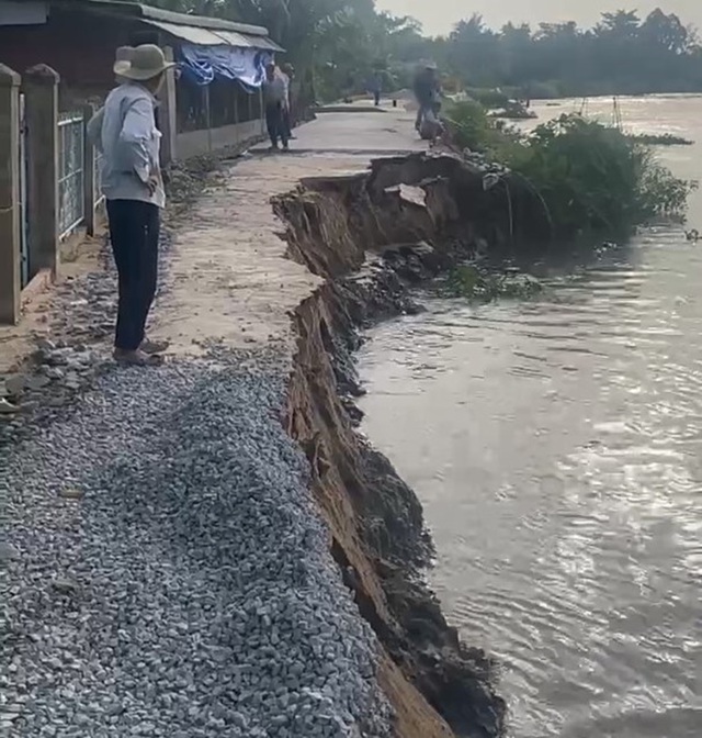 Vĩnh Long: Sạt lở làm hàng trăm mét đê bao chìm xuống sông Măng- Ảnh 3.