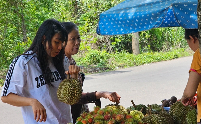 Cần nghiên cứu, nhân rộng giống sầu riêng bản địa Chuồng Bò, Chín Hóa- Ảnh 2.