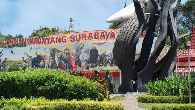 Dạo quanh những địa điểm thú vị tại Surabaya, Indonesia- Ảnh 4.