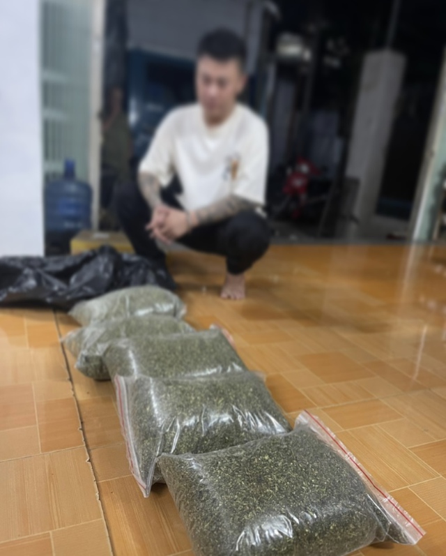Công an Quảng Ngãi phát hiện vụ mua bán 'cỏ Mỹ', nước cốt ma túy- Ảnh 1.
