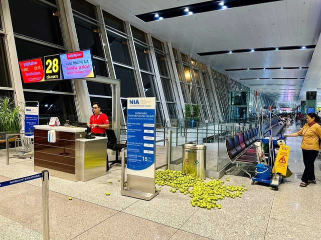 Xôn xao hình ảnh xoài, cóc hành khách bỏ lại ở sân bay Nội Bài- Ảnh 2.