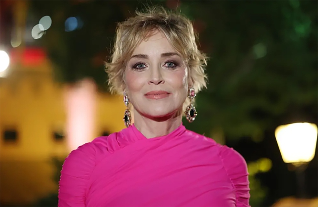 Sharon Stone từng mất 18 triệu USD tiền tiết kiệm sau cơn đột quỵ- Ảnh 1.