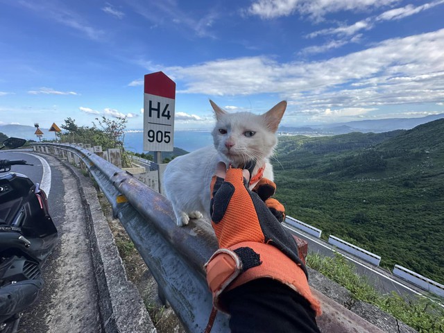 Chàng trai đưa 2 chú mèo đi phượt hơn 1.800 km- Ảnh 4.