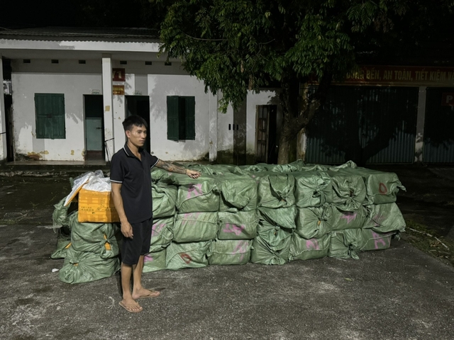 Quảng Ninh: Bắt giữ hơn 3,1 tấn nầm lợn không rõ nguồn gốc - Ảnh 1.