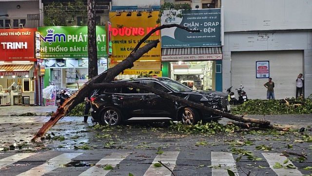 TP.HCM: Cây xanh gãy ngang đè ô tô ở Q.10, 6 người may mắn thoát nạn- Ảnh 1.