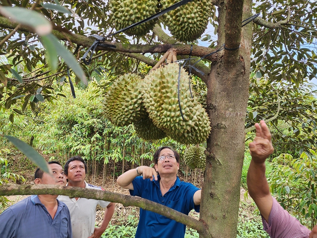 Tiến sĩ miệt vườn giúp nông dân thay đổi sinh kế- Ảnh 2.