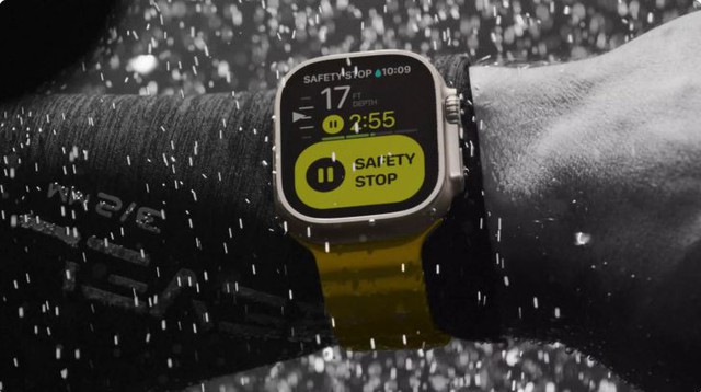 Apple Watch 'sống sót' thần kỳ sau hơn một năm dưới đáy biển- Ảnh 1.