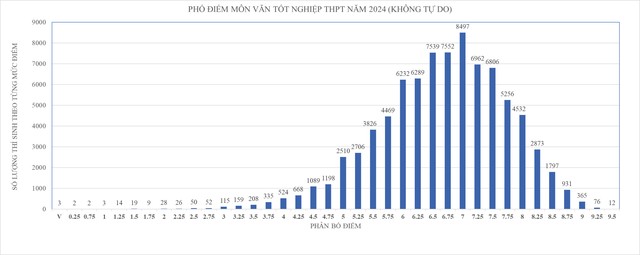 TP.HCM dẫn đầu cả nước môn tiếng Anh thi tốt nghiệp THPT 2024- Ảnh 2.