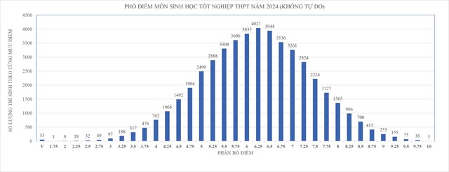 TP.HCM dẫn đầu cả nước môn tiếng Anh thi tốt nghiệp THPT 2024- Ảnh 7.