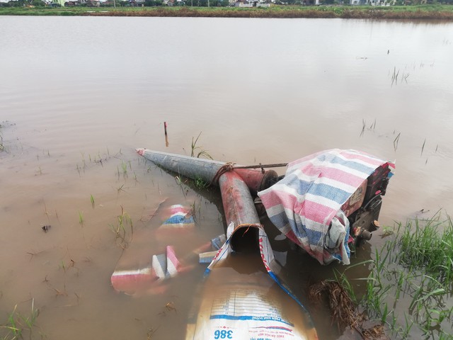 Mưa lớn không dứt, nông dân Nam Định cứu lúa bất thành- Ảnh 3.