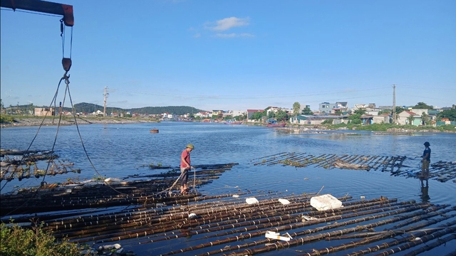 Tháo dỡ bè mảng nuôi vẹm xâm chiếm khu neo đậu tàu thuyền- Ảnh 1.