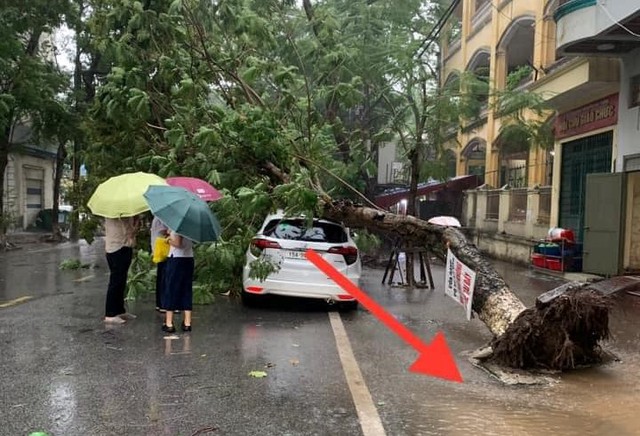 Hải Phòng: Mưa lớn làm ngập lụt nhiều tuyến phố- Ảnh 3.