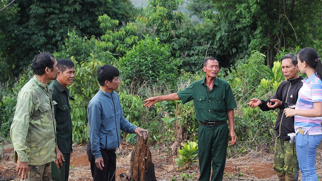 Vụ án 6 cựu chiến binh 'hủy hoại rừng' ở Đắk Nông: 3 lần trả hồ sơ chỉ trong 6 tháng- Ảnh 1.