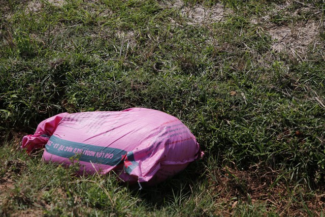 Quảng Bình: Ngao ngán cảnh lợn chết bị vứt bừa bãi ra đồng- Ảnh 2.
