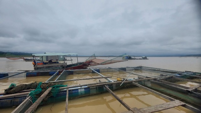 Đề nghị Công ty thủy điện Ya Ly hỗ trợ 2,9 tỉ đồng cho hộ dân có cá chết- Ảnh 2.