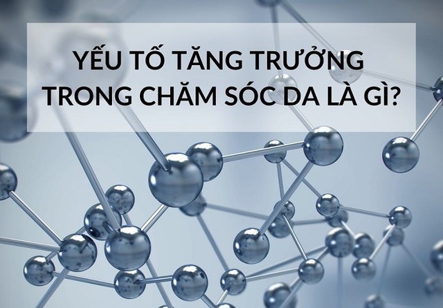 Yếu tố tăng trưởng EGF là gì? Tại sao được ứng dụng để chống lão hóa da?- Ảnh 1.