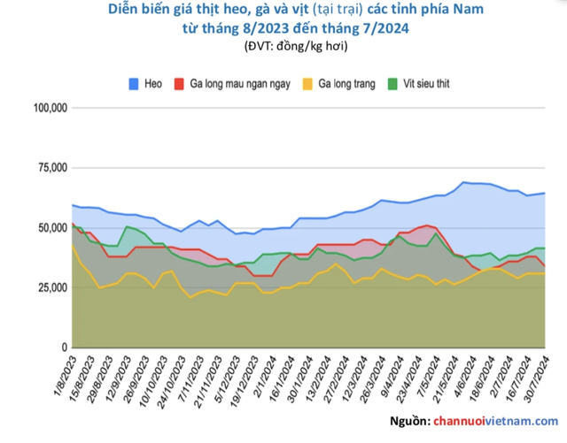 Giá heo hơi hôm nay 31.7.2024: Tiếp đà giảm nhẹ- Ảnh 2. Giá heo hơi hôm nay 31.7.2024: Tiếp đà giảm nhẹ- Ảnh 2.