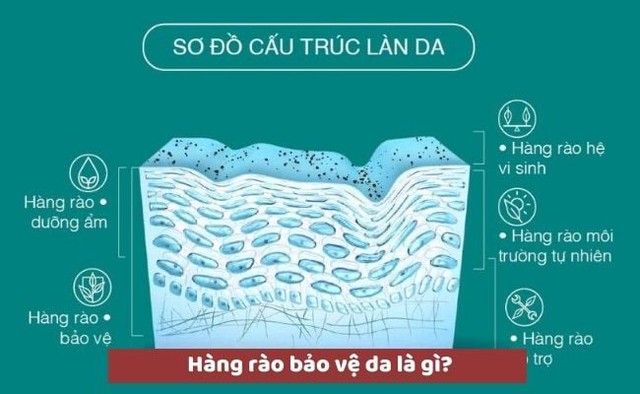 Vì sao nên ưu tiên phục hồi hàng rào bảo vệ của làn da?- Ảnh 2.