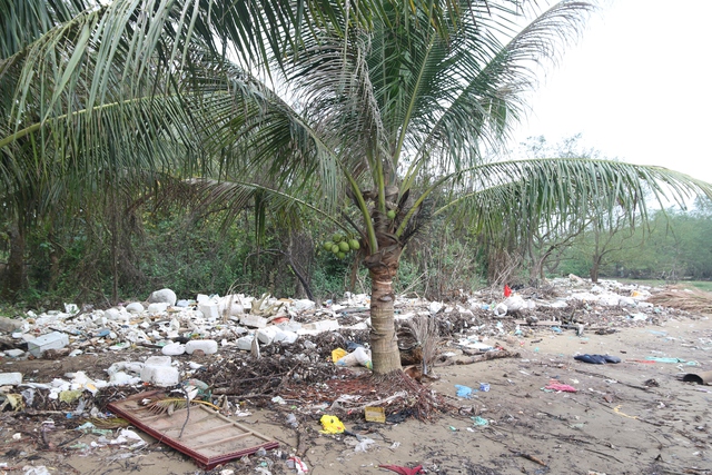 Rác thải y tế tràn lan ngoài đê biển, bìa rừng ngập mặn Hải Phòng- Ảnh 5.