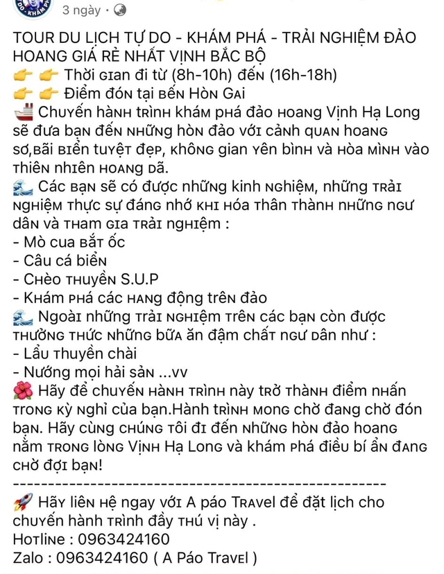 Dính bẫy tour 'chui' vịnh Hạ Long, du khách 'ôm hận' mất tiền - Ảnh 2.