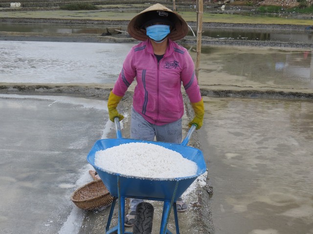Bảo tồn đồng muối truyền thống Sa Huỳnh gắn với phát triển du lịch cộng đồng- Ảnh 2.