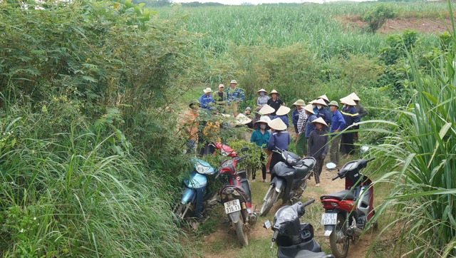 Dân 'tố' trại lợn gây ô nhiễm môi trường, 2 tỉnh vào cuộc kiểm tra- Ảnh 1.