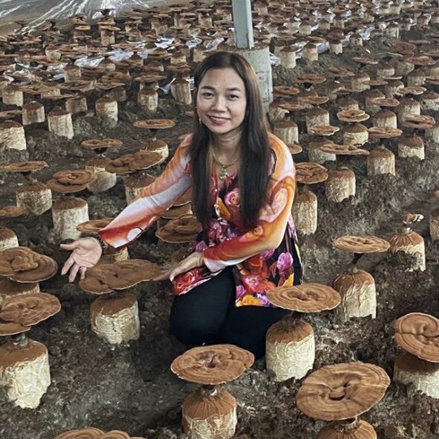 Rẽ hướng trồng nấm, người phụ nữ miền Tây thu nhập gần 900 triệu đồng/năm- Ảnh 3.