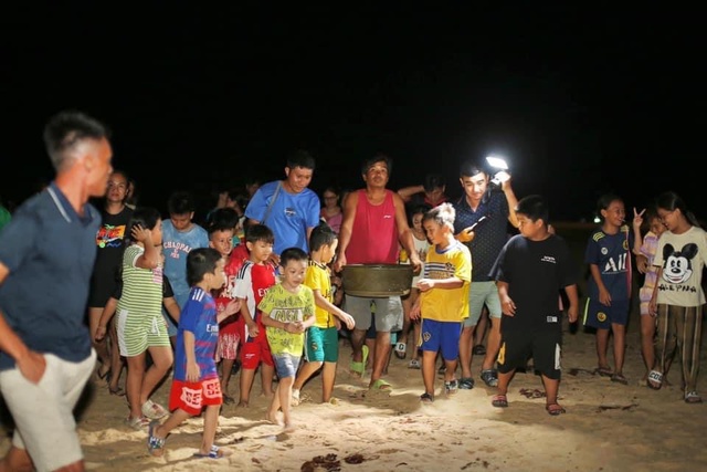 Hàng chục rùa biển con vừa nở ở bãi biển Quy Nhơn- Ảnh 2.