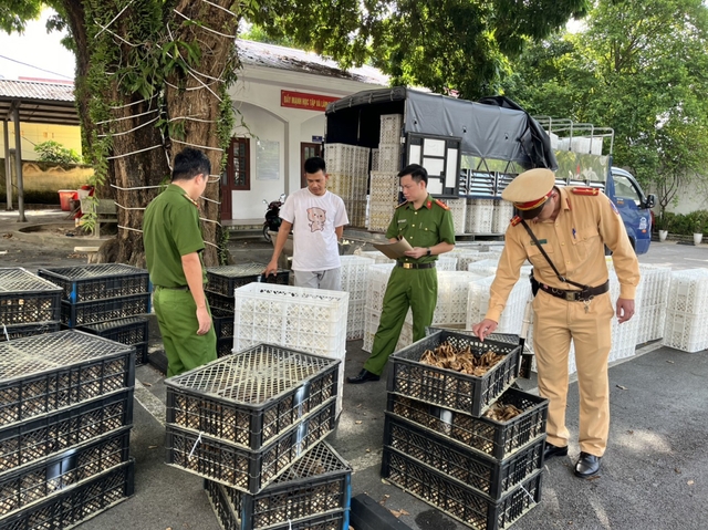 Hàng nghìn gà, vịt giống nhập lậu từ Trung Quốc - Ảnh 1.