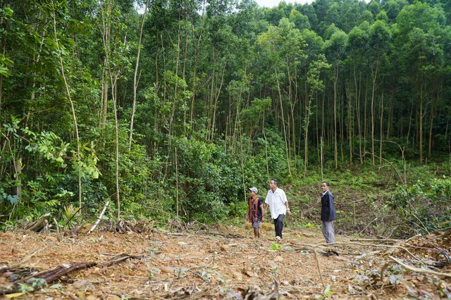 'Gõ cửa' Ho Rum- Ảnh 1.