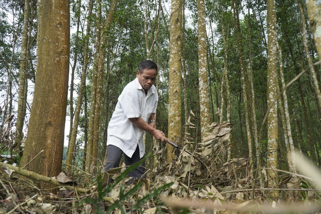 'Gõ cửa' Ho Rum- Ảnh 7.