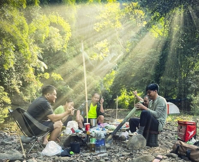 ‘Tắm rừng’, trào lưu chữa lành hay nỗi sợ bỏ lỡ?- Ảnh 1.