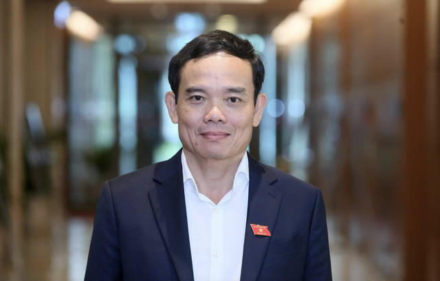 Ông Trần Lưu Quang được phân công giữ chức Bí thư Thành ủy TP.HCM Ông Trần Lưu Quang được phân công giữ chức Bí thư Thành ủy TP.HCM
