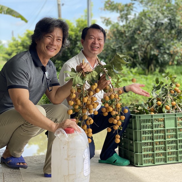 'Bí quyết' trồng thanh nhãn thu lãi hơn nửa tỉ đồng mỗi năm- Ảnh 2.