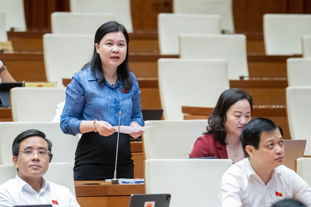 'Vì sao luật vừa thi hành đã sửa, thậm chí chưa thi hành cũng phải sửa?'- Ảnh 1.