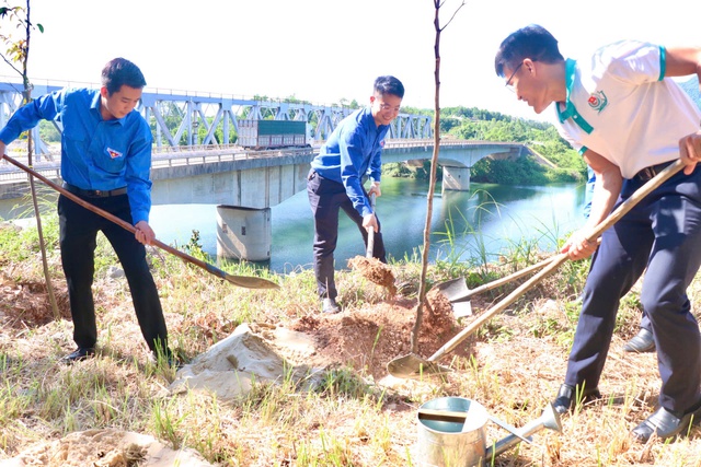 Trồng 6.500 cây xanh tại các di tích lịch sử tại Quảng Bình- Ảnh 1.